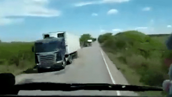 Canh cay vang vo kinh oto hinh anh