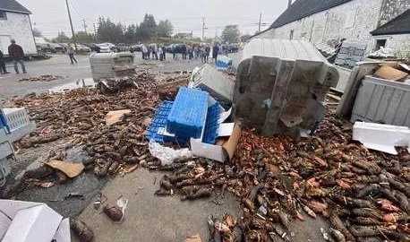 Nhieu nguoi dap pha co so che bien tom hum o Canada hinh anh