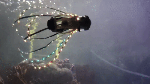 Robot muc biet boi hinh anh