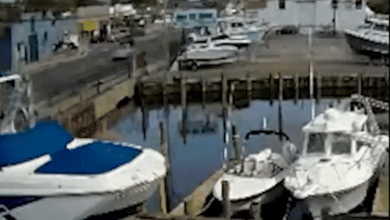 Oto mat lai lao xuong nuoc hinh anh