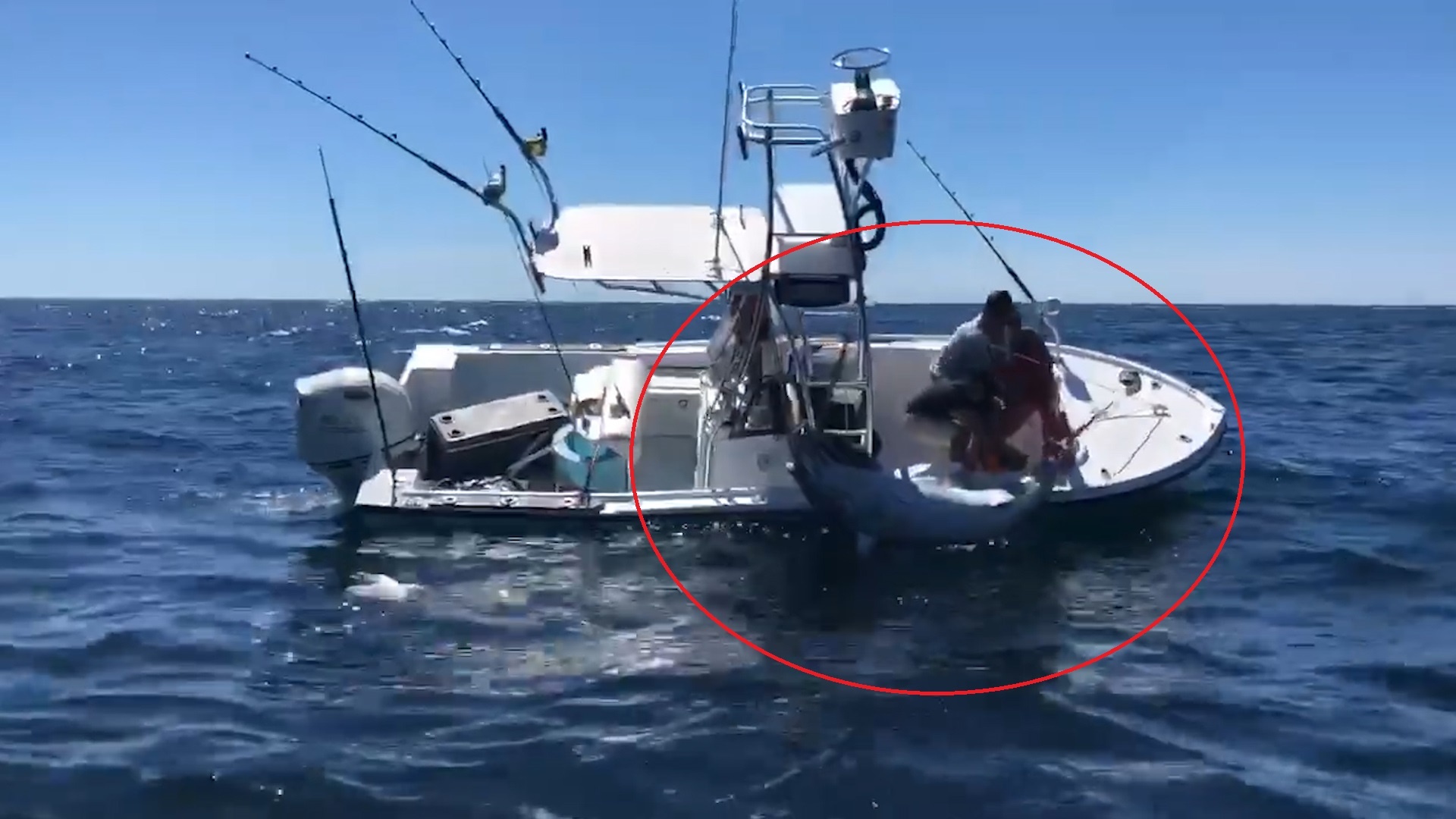 Ngu dan cau duoc ca ngu khong lo o My hinh anh