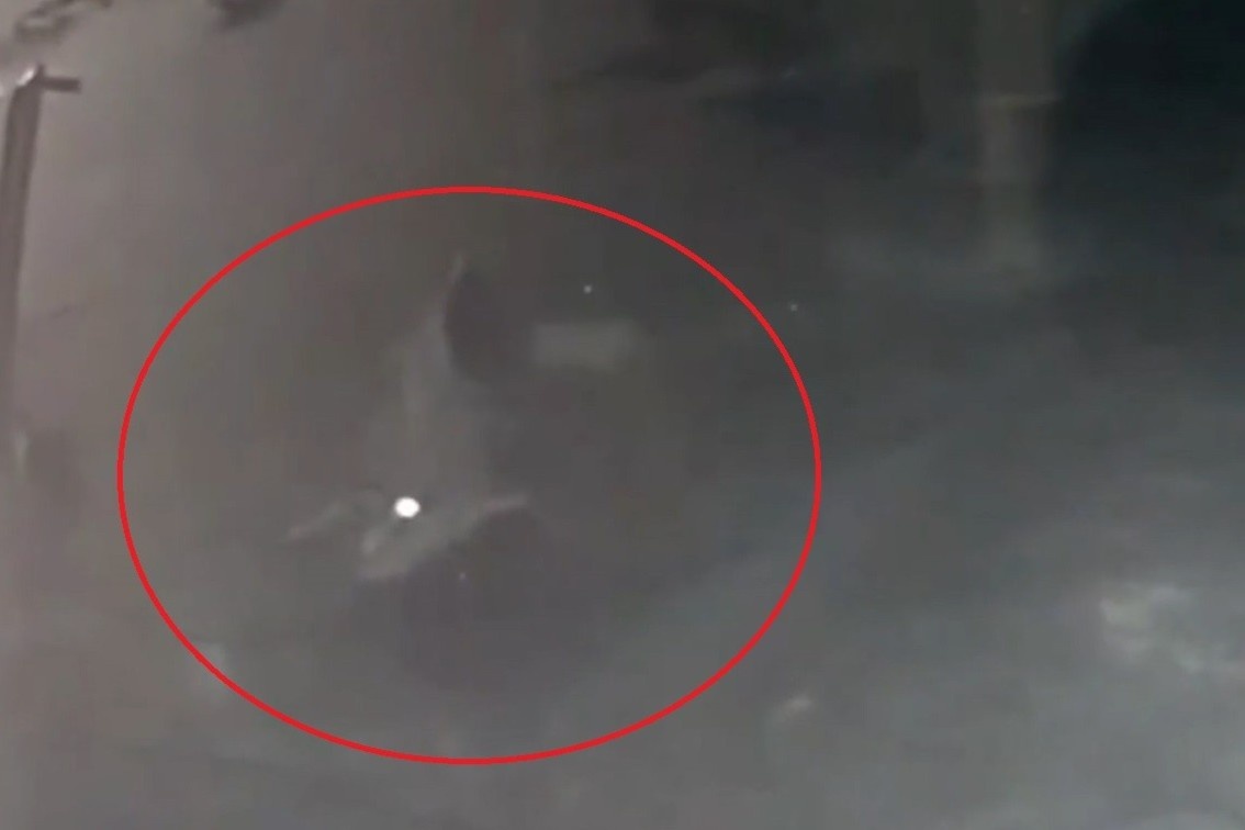 Ca sau trong dem bo vao nha dan o Thai Lan hinh anh