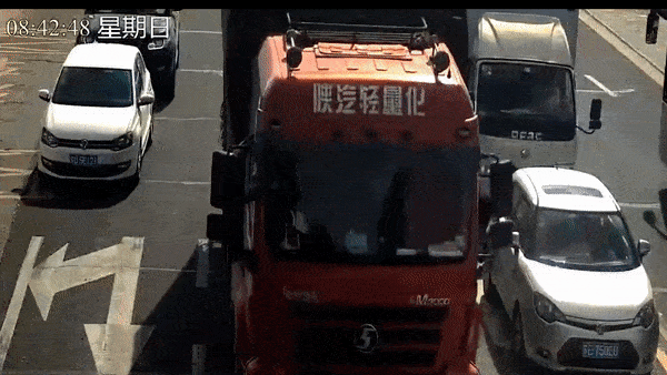 Cu ong thoat chet sau khi bi xe tai can o Trung Quoc hinh anh