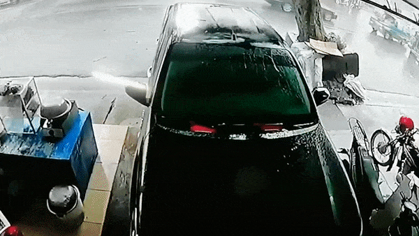 Bao Molave lam cay lon bat goc de bep oto tai Philippines hinh anh