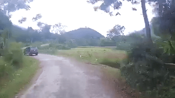 Oto lao dao tren duong roi lat xuong ruong hinh anh