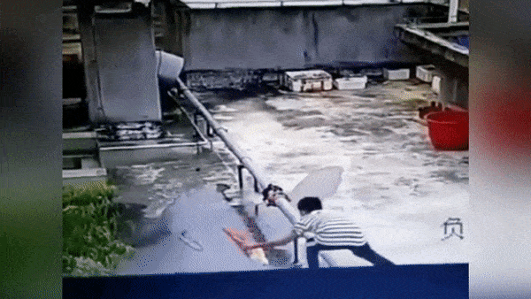 Cau be do xang dot noc toa nha o Trung Quoc hinh anh