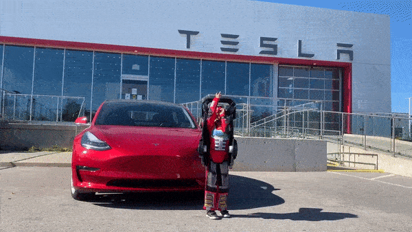 Cau be voi bo do bien hinh thanh robot va xe dien Tesla hinh anh