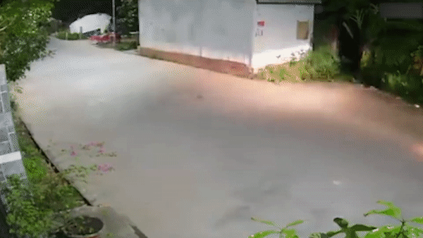 Oto mat kiem soat tong vao nha dan hinh anh