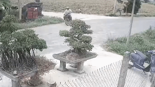 Oto hat bay nguoi dan ong sau vu tai nan hinh anh