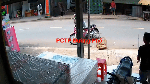 Ke trom long chim bi chu nha ruot duoi hinh anh