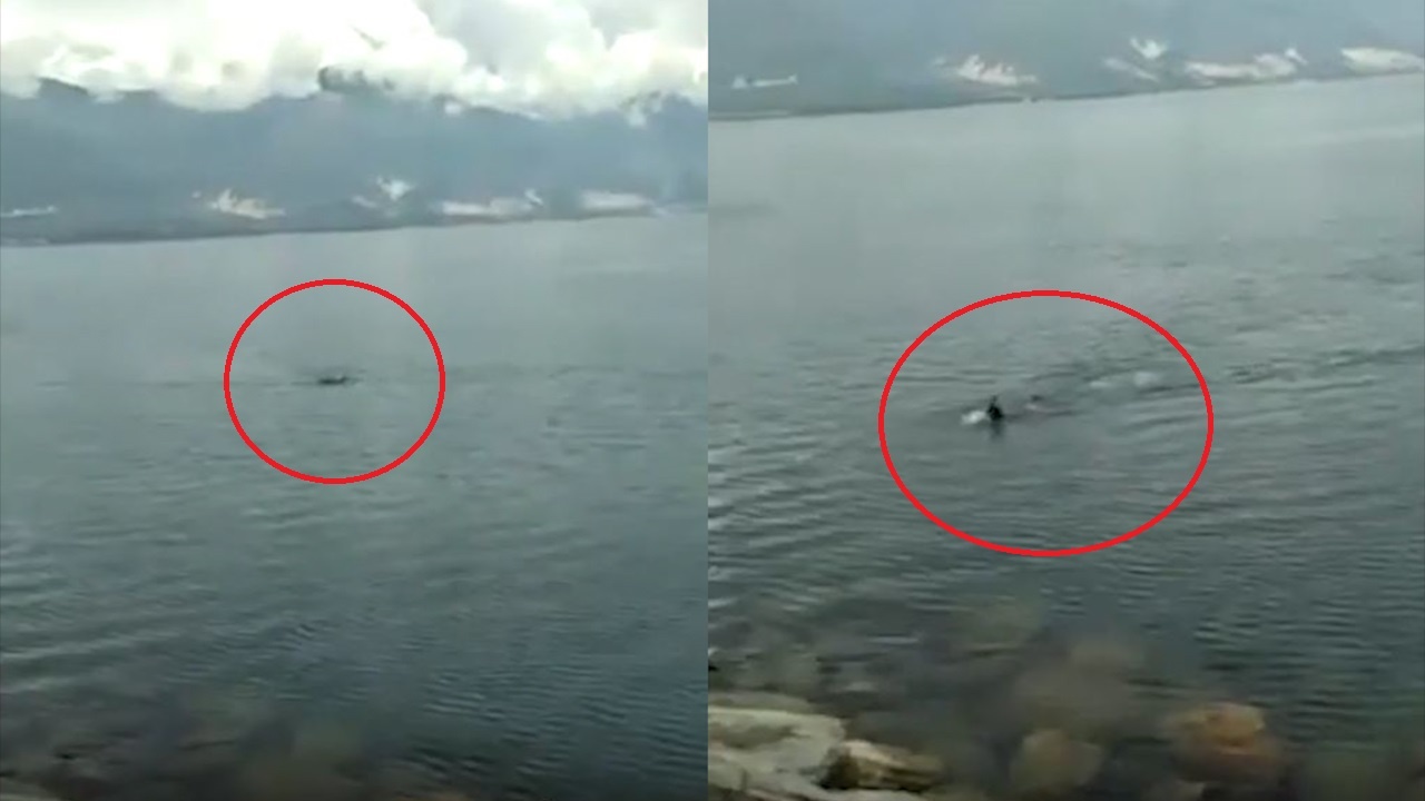 Du khach bi ca sau ruot duoi o Indonesia hinh anh