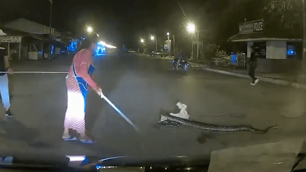 Meo bi tran quan giua duong, nguoi dan hop suc giai cuu hinh anh