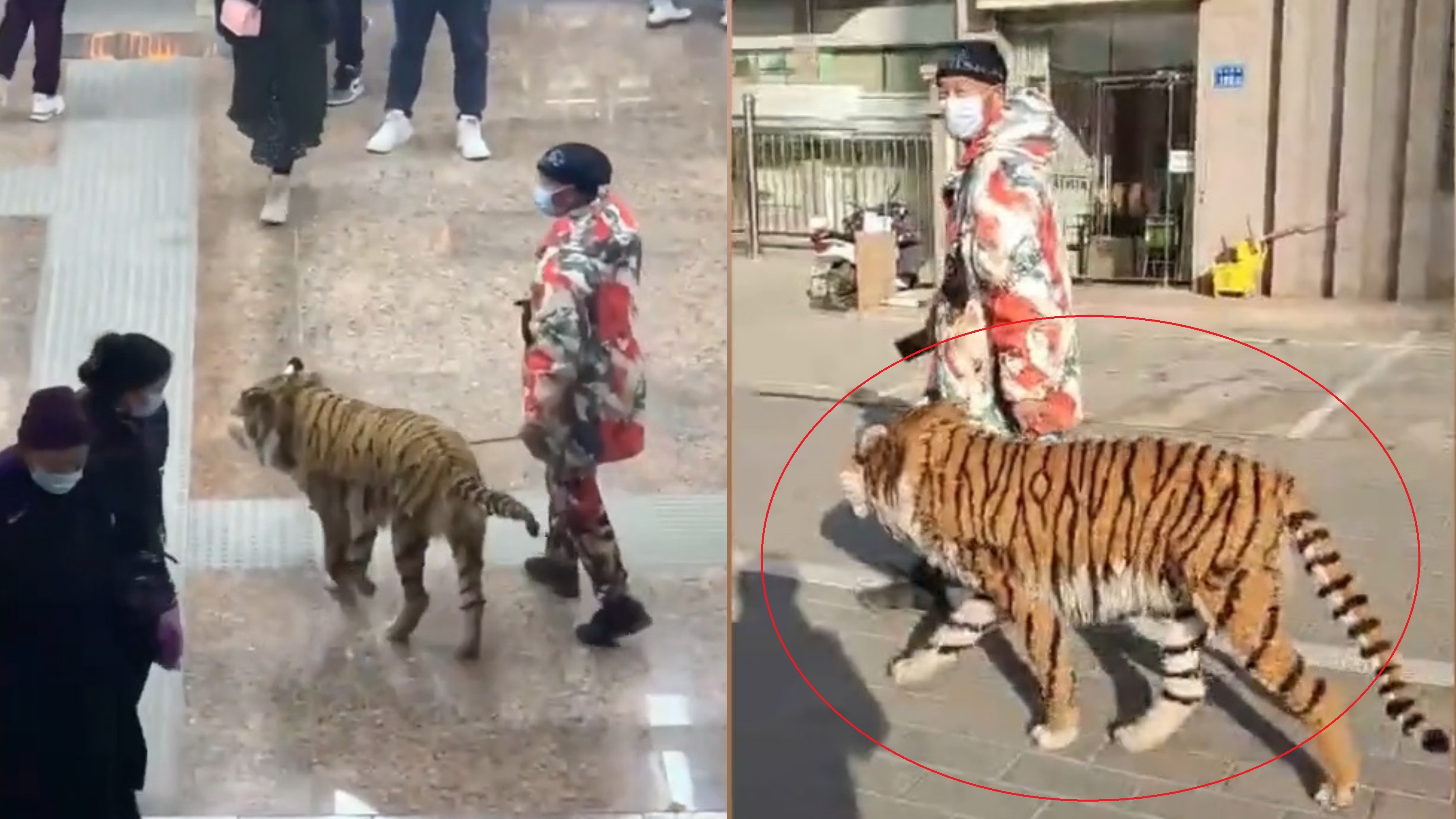 Chu hoa trang cho thanh ho o Trung Quoc hinh anh