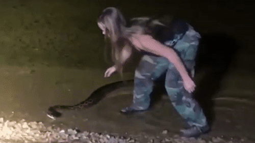 Co gai dung tay khong tom gon con tran Mien Dien hinh anh