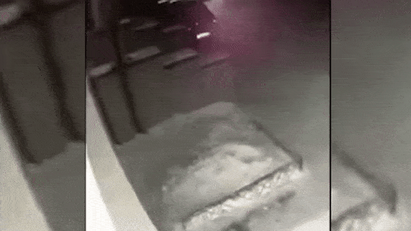 Be gai 6 tuoi song sot than ky sau khi roi khoi cua so tang 4 o Nga hinh anh