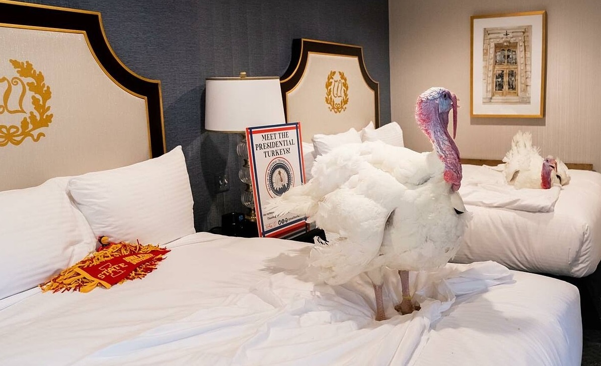 Ga tay o khach san hang sang cho ong Trump xa toi hinh anh