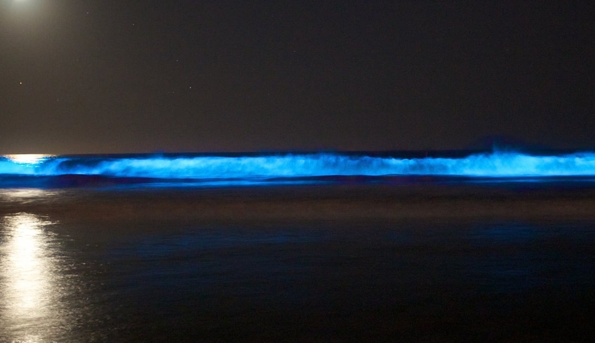 Tao phat quang no ro khien bai bien o An Do ruc sang hinh anh