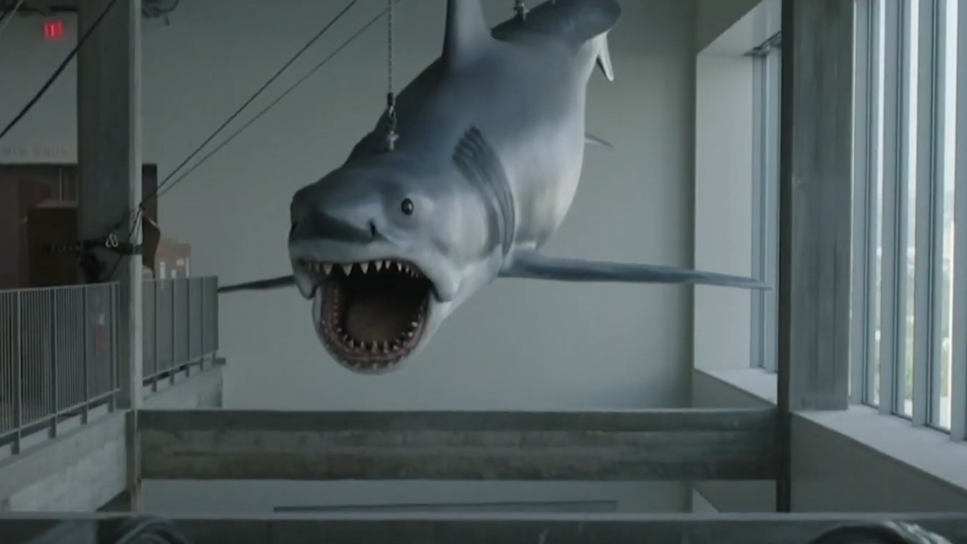 Mo hinh ca map trong phim Jaws duoc dem trung bay sau 40 nam hinh anh