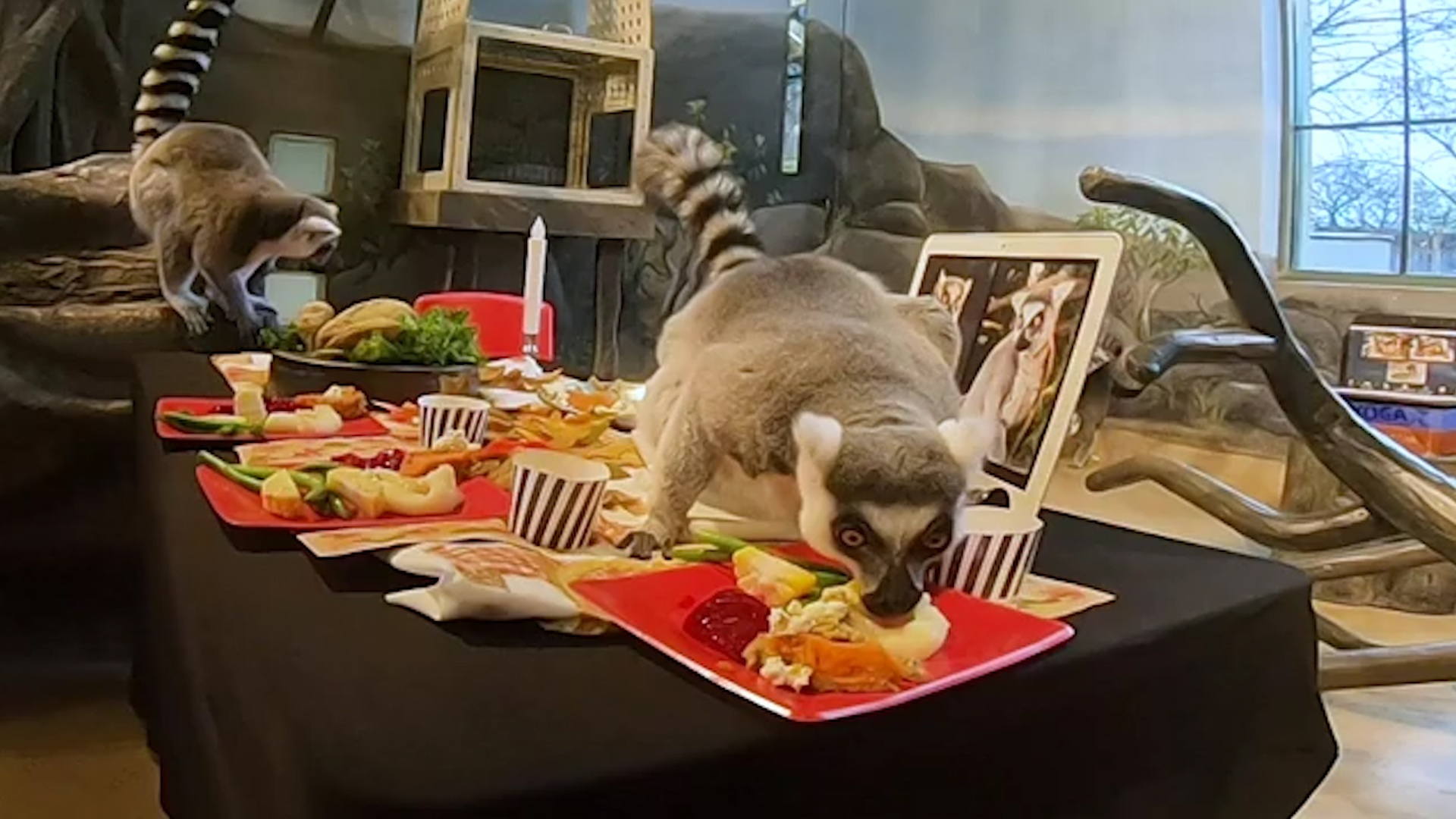 Vuon cao duoi vong duoc an Le Ta on tai vuon thu hinh anh