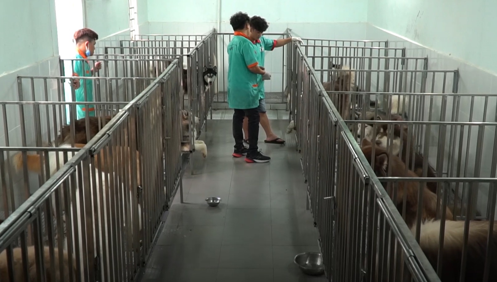 Chi gan 50 trieu dong moi thang de nuoi cho o TP.HCM hinh anh