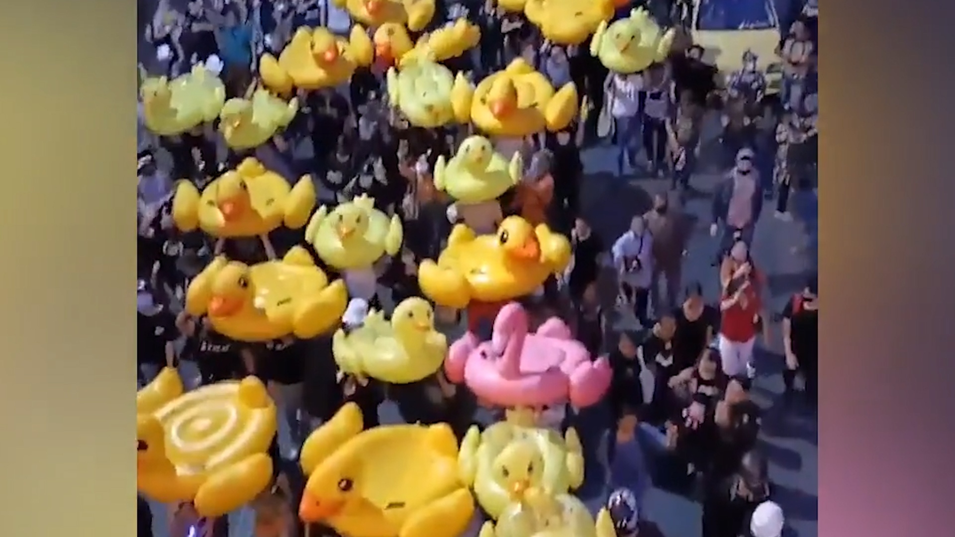 Nguoi Thai Lan mang vit vang bom hoi di bieu tinh hinh anh