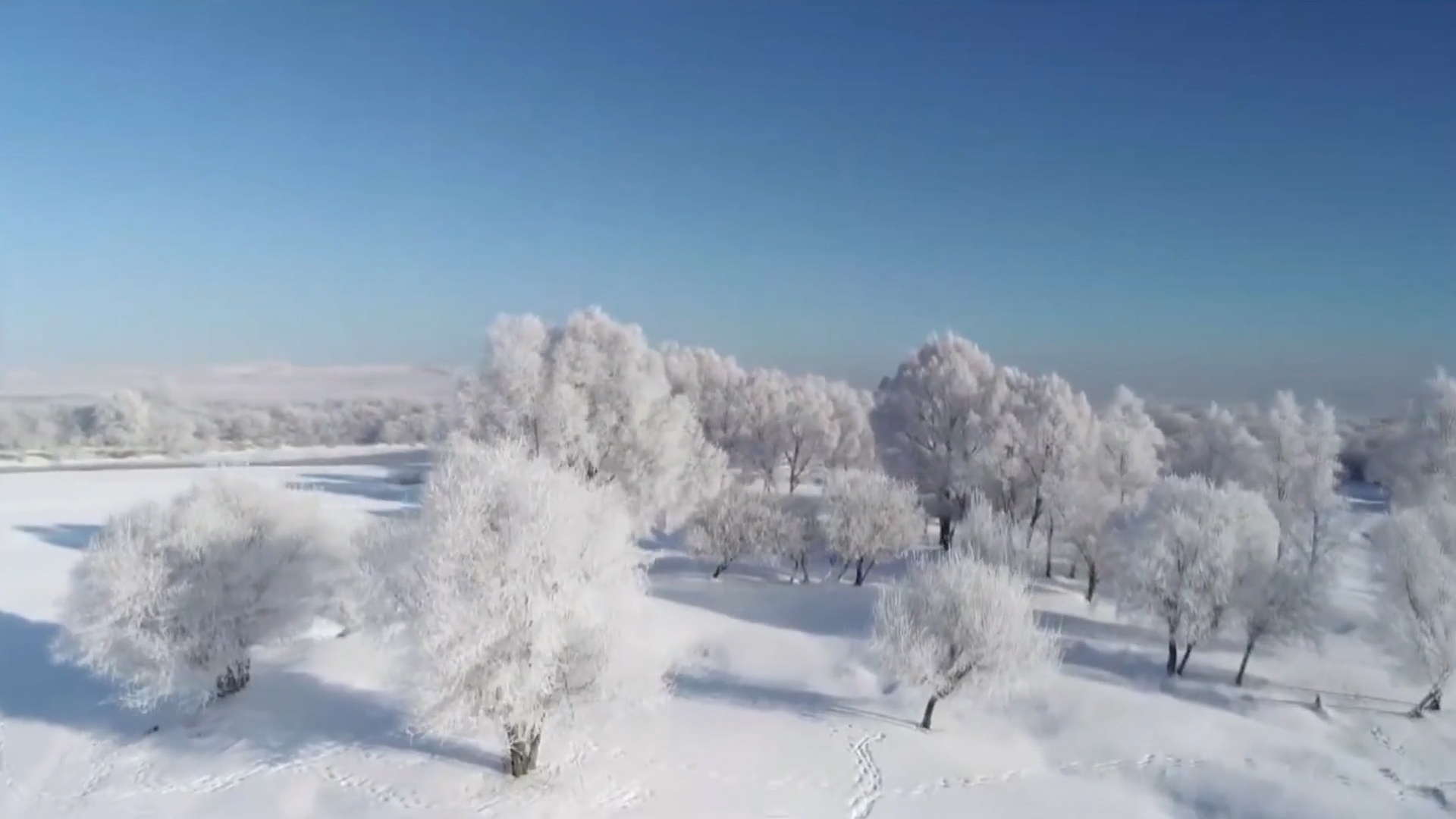 Thanh pho bang gia nhu 'xu so than tien' o Trung Quoc hinh anh