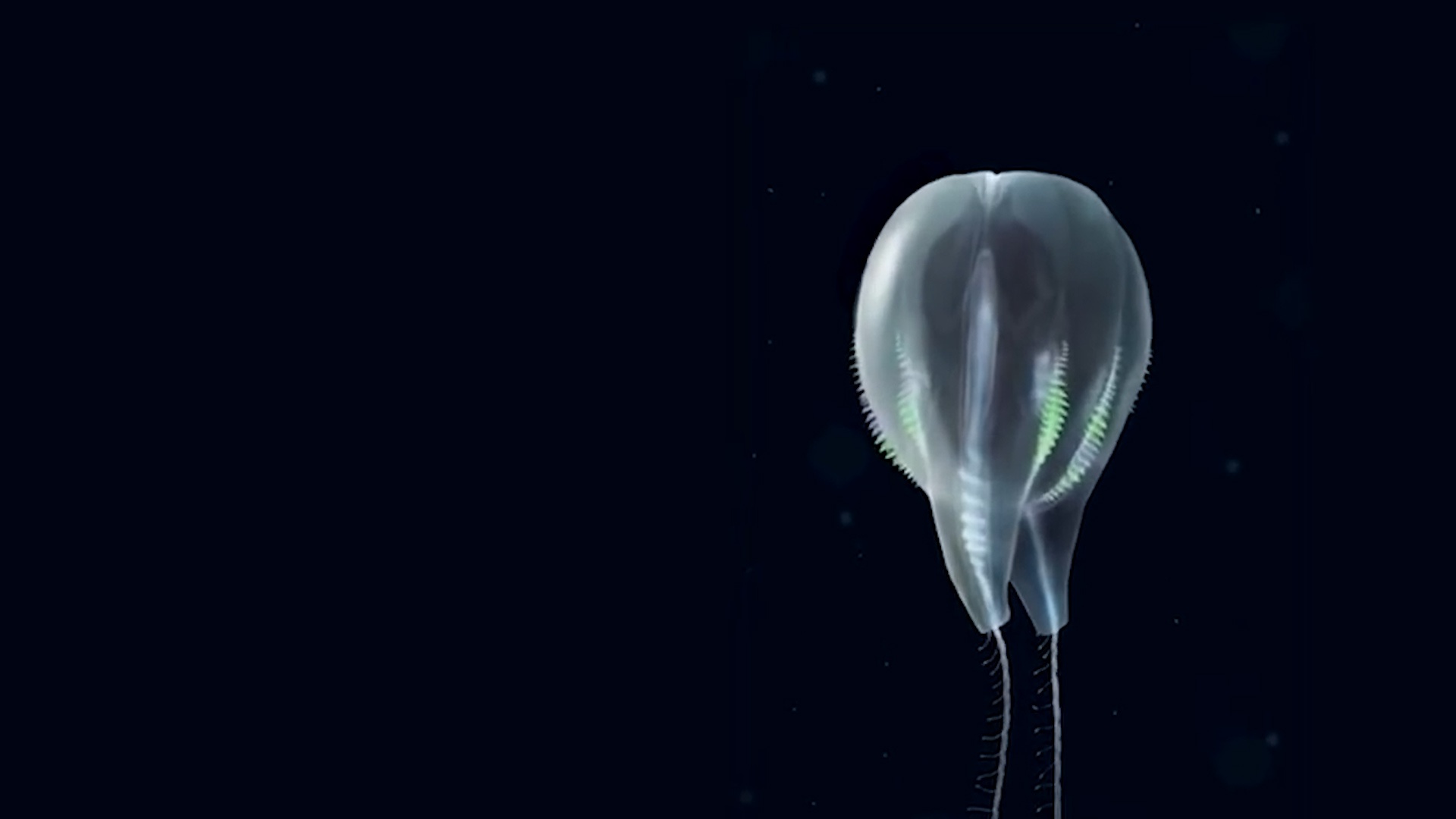 Phat hien loai sinh vat moi duoi day bien hinh anh