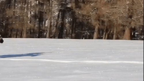 Thanh nien cuoi ngua giao buu kien o Trung Quoc hinh anh