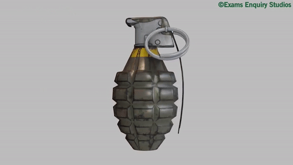 Luu dan duoc kich no nhu the nao? hinh anh