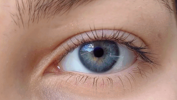 Nhung dieu ban co the thay khi o trong ho den hinh anh