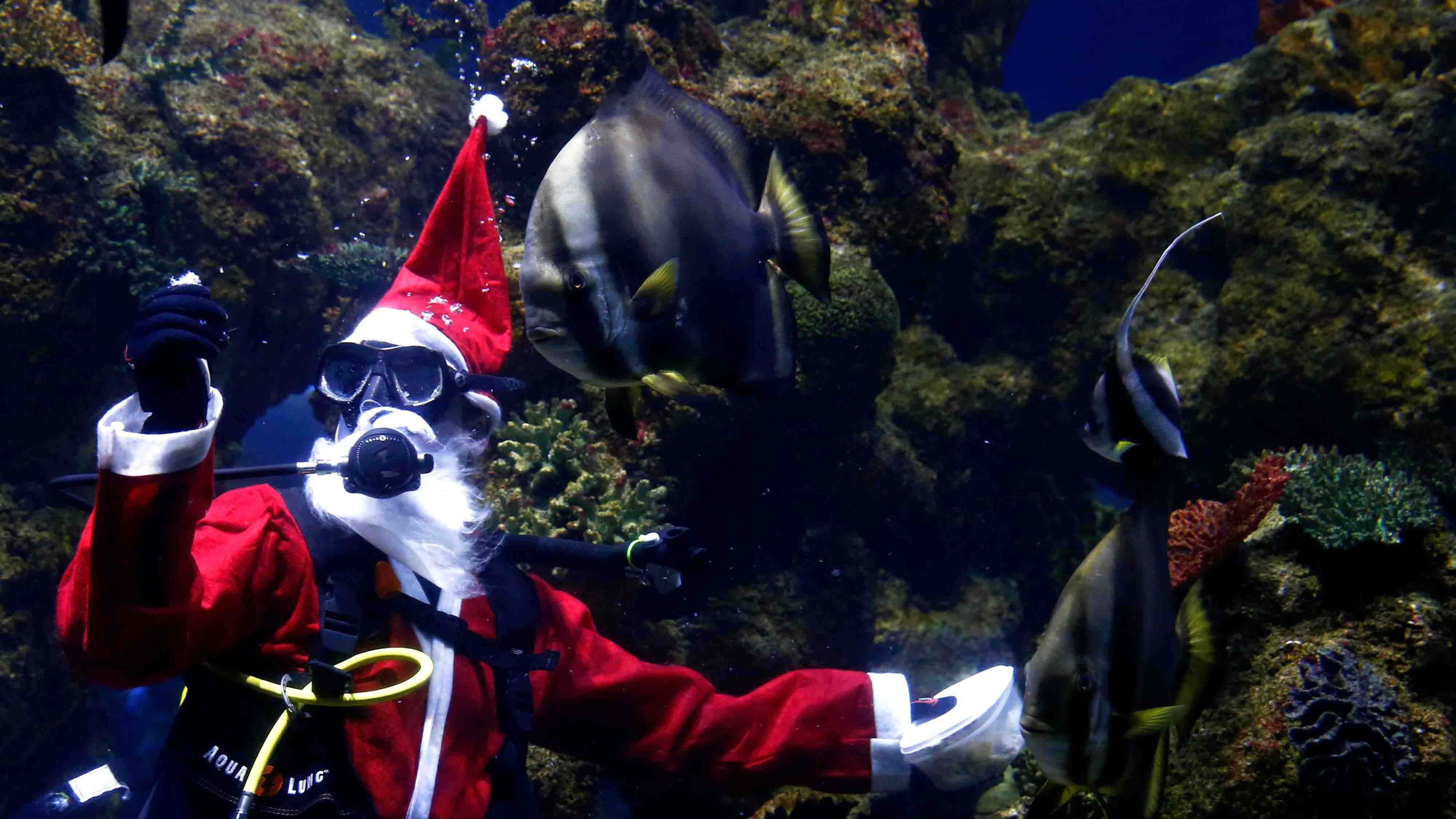 Ong gia Noel lan xuong be cho ca an hinh anh