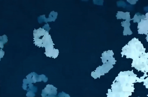 Nhung cong nghe dot pha lam nen vaccine Covid-19 hinh anh