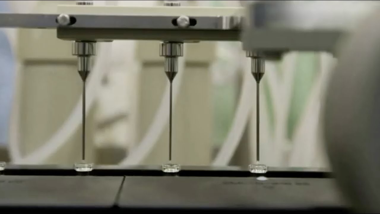 Hacker nham den cac cong ty phan phoi vaccine Covid-19 hinh anh