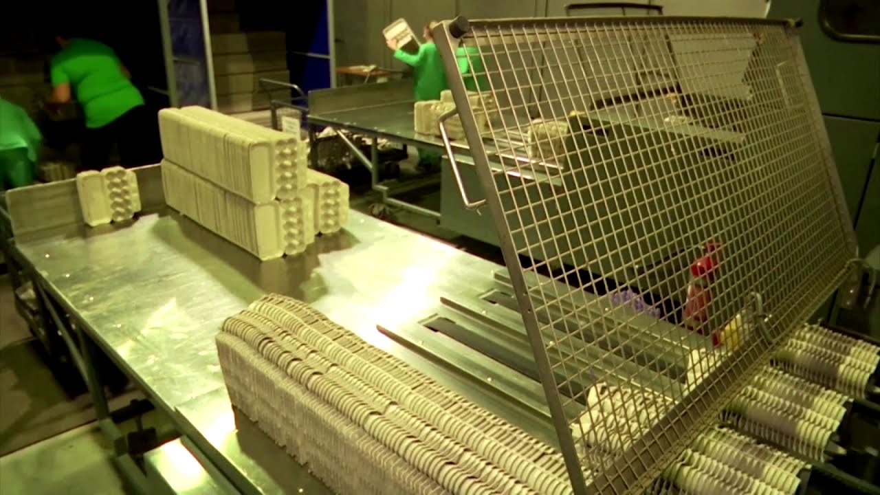 Sinh vien Ukraine lam giay tu la hinh anh