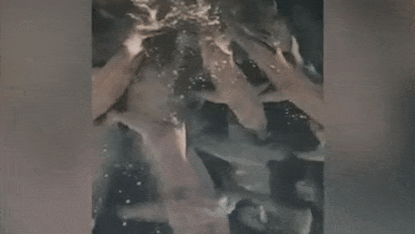 Hang tram con ca map bao vay tau danh ca de tim thuc an hinh anh