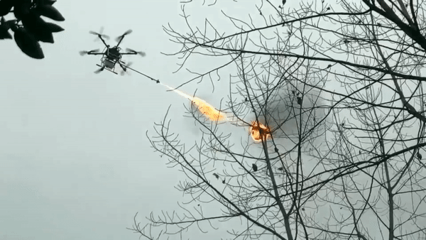 Dung drone dot to ong bap cay o Trung Quoc hinh anh