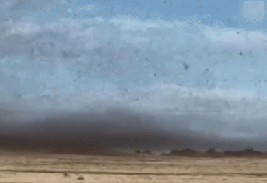 Dan chau chau tan pha cac nong trai o Nam Phi hinh anh