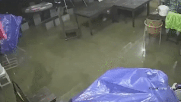 Ran ho mang dai hon 4 m boi qua nha dan hinh anh