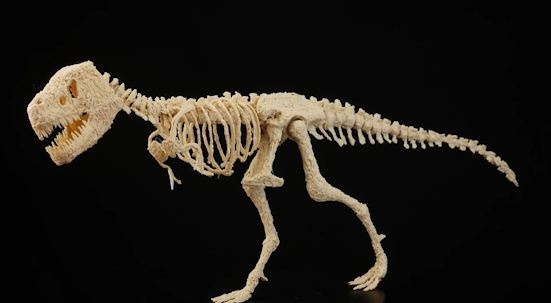 Lam bo xuong T-Rex tu but 3D hinh anh