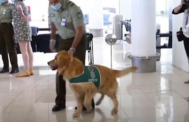 Chile dung cho danh hoi virus o san bay hinh anh