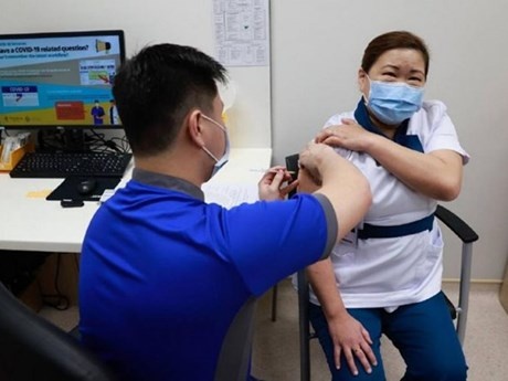 Singapore bat dau tiem vaccine Covid-19 cho nguoi dan hinh anh