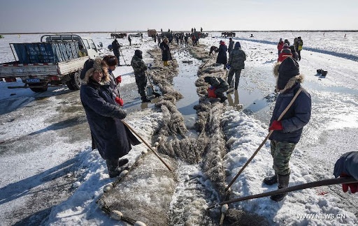 Ngu dan Trung Quoc tat bat danh ca tren ho bang hinh anh