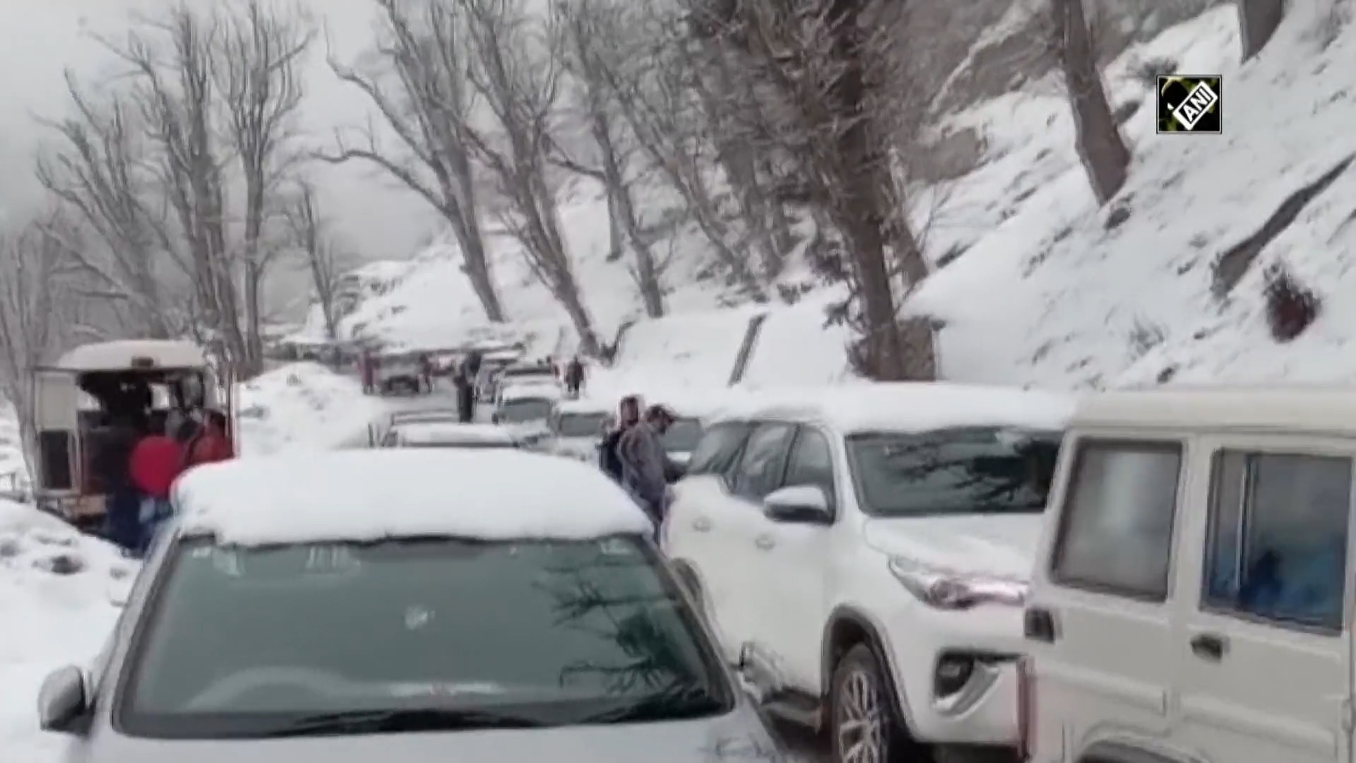 Hon 300 du khach bi mac ket vi tuyet day o An Do hinh anh