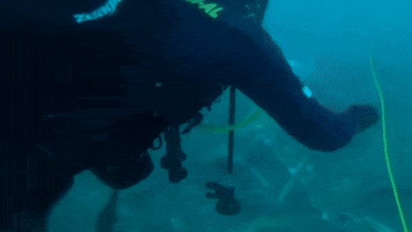 Tim thay manh vo cua chiec may bay roi o Indonesia hinh anh