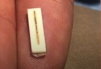 Nghe si Trung Quoc cham khac tren soi long dong vat hinh anh