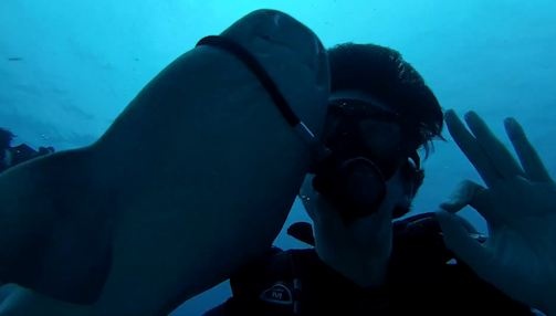 Tho lan bi ca map keo ong tho ra khoi nguoi hinh anh