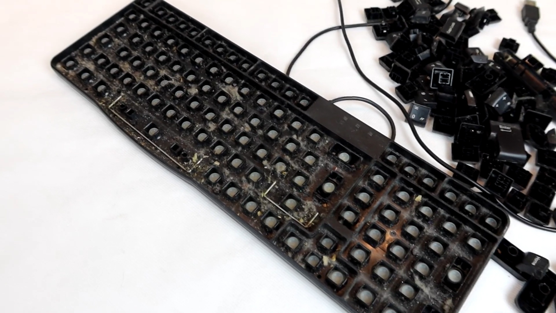 Ban phim sau mot nam su dung ban co nao? hinh anh