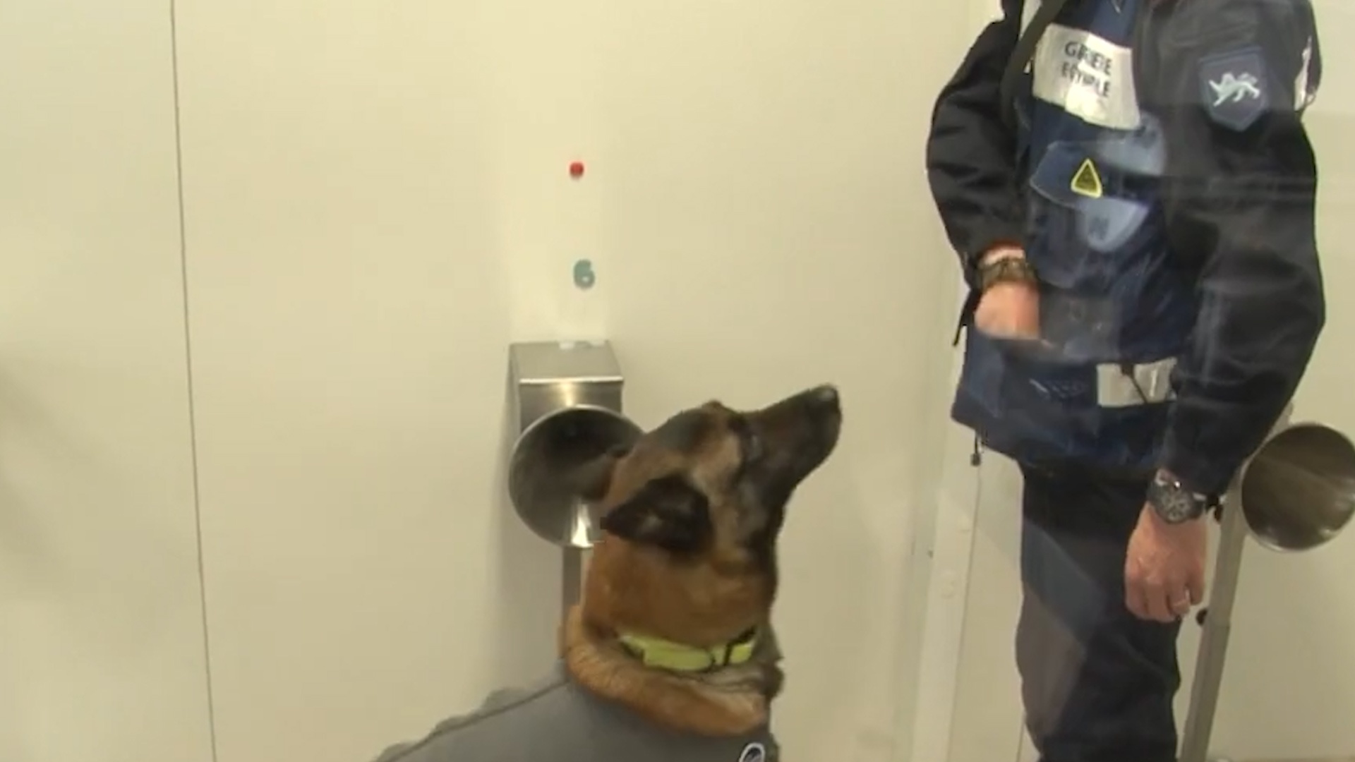 Phap huan luyen cho de phat hien virus trong mo hoi nguoi hinh anh