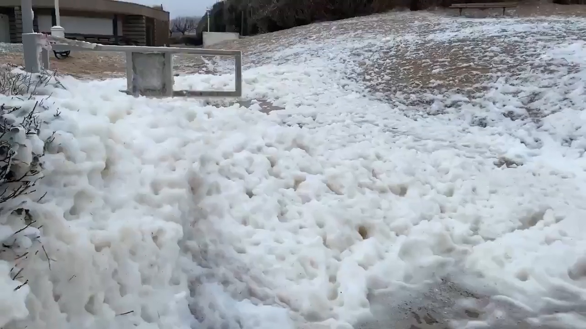 Bot phu kin bo bien o Phap hinh anh