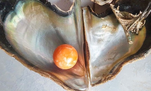 Ngu dan tim thay ngoc Melo mau cam tri gia hang tram nghin USD hinh anh